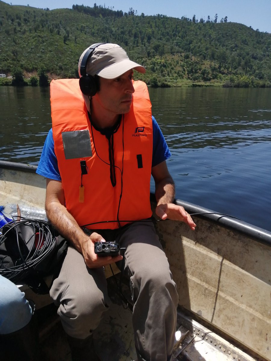 FishInvasionLab's tweet image. Testing! Testing! Testing! Setting up baited longlines in Belver reservoir, with a clonk sound to maximize capture efficiency of the invasive European catfish #silurusglanis #megapredator @ruirivaes @MARE_centre