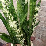 Photo by #Gardening ABC (@packedgarden)