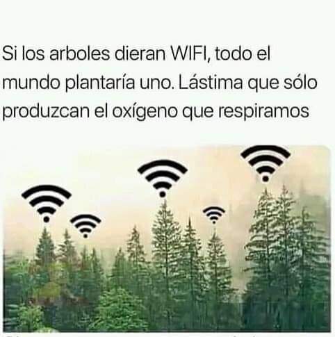 Y si.