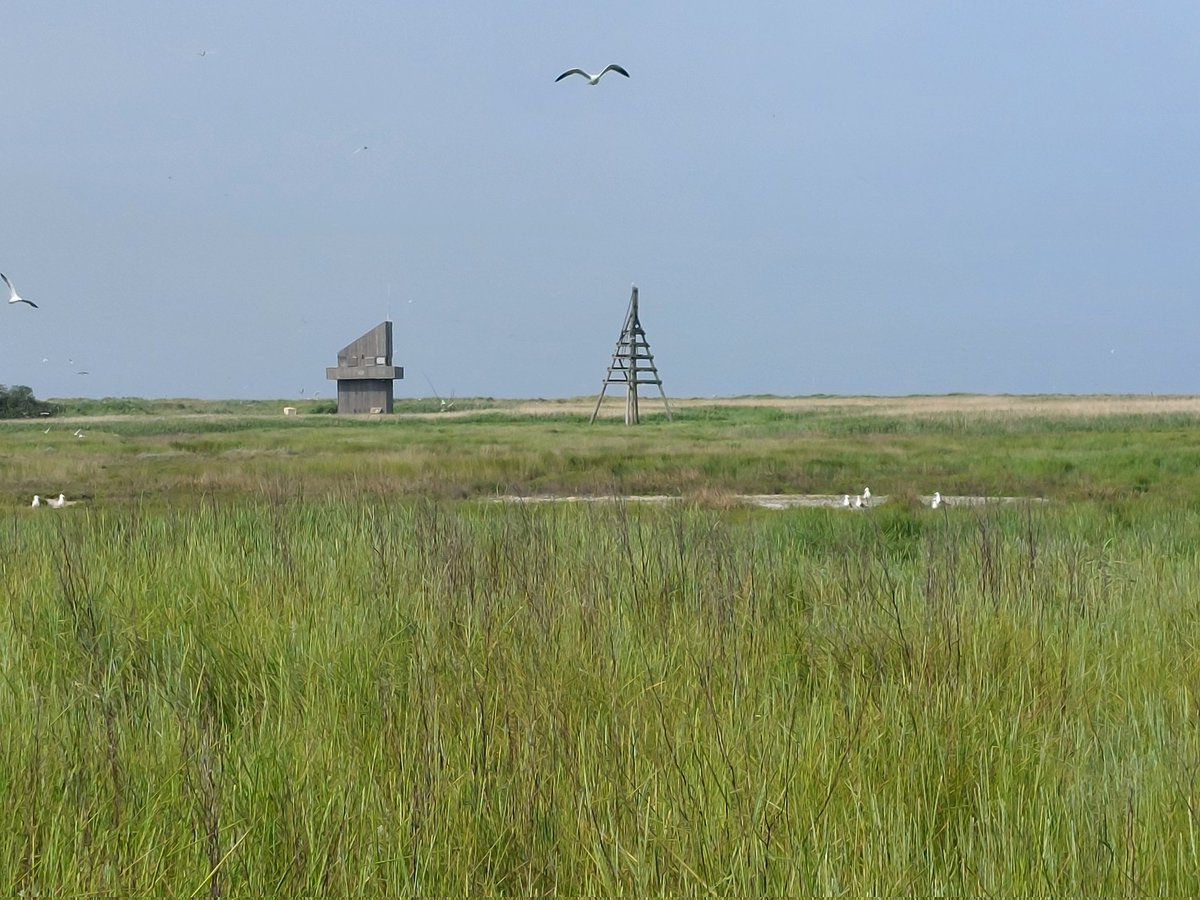 Wim Tijsen (@tijsenw) on Twitter photo Zondag na 09.00 een reportage over de #lepelaar en wetenschappelijk onderzoek over o.a. het nut van ringen vanaf #Griend in <a href="/VroegeVogels/">Vroege Vogels</a> een hele belevenis op een onbewoond eiland <a href="/NIOZwdrc/">Wadden & Delta Centre</a> @RijkeWaddenzee <a href="/univgroningen/">University of Groningen</a> <a href="/WGLepelaar/">Werkgroep Lepelaar</a> <a href="/DZK_deWadden/">De Zee Kust DE WADDEN</a> <a href="/waddentweets/">Waddenvereniging</a> @Natuurmonument Zondag na 09.00 een reportage over de #lepelaar en wetenschappelijk onderzoek over o.a. het nut van ringen vanaf #Griend in <a href="/VroegeVogels/">Vroege Vogels</a> een hele belevenis op een onbewoond eiland <a href="/NIOZwdrc/">Wadden & Delta Centre</a> @RijkeWaddenzee <a href="/univgroningen/">University of Groningen</a> <a href="/WGLepelaar/">Werkgroep Lepelaar</a> <a href="/DZK_deWadden/">De Zee Kust DE WADDEN</a> <a href="/waddentweets/">Waddenvereniging</a> @Natuurmonument