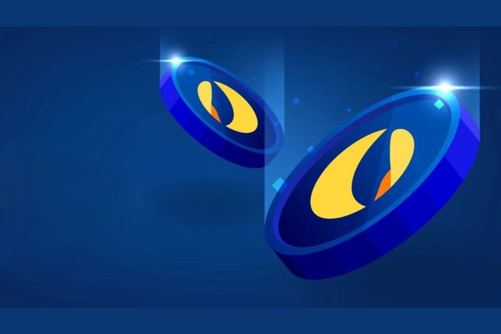 Hailey LUNC XRP tweet media