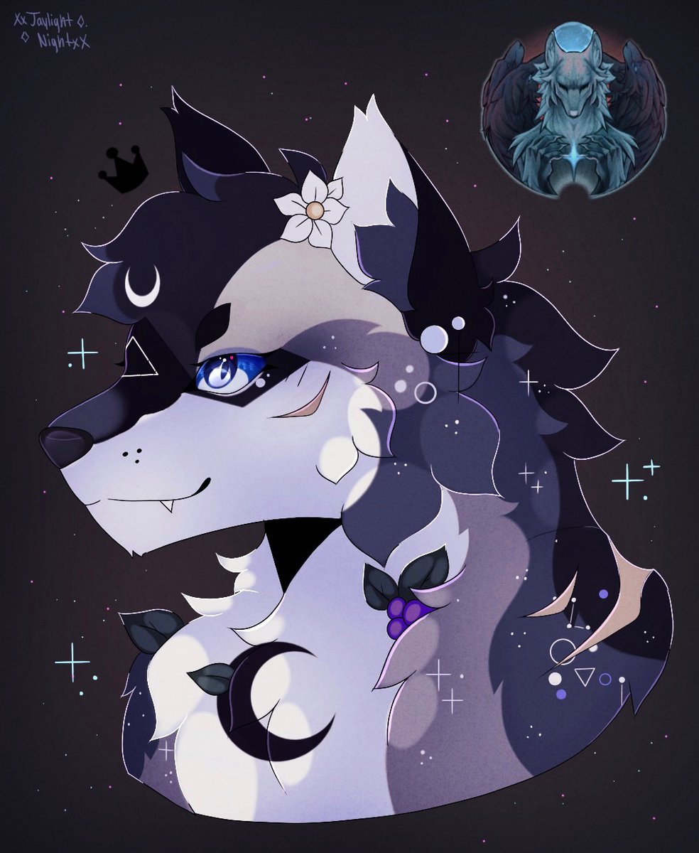 Jaylight_Night's tweet photo. 🐺TEAM WEREWOLVES!🐺
✨Night as a werewolf!✨
#artfight #art #artfight2023
#digitalart #werewolfteam https://t.co/njVmR9OKyF