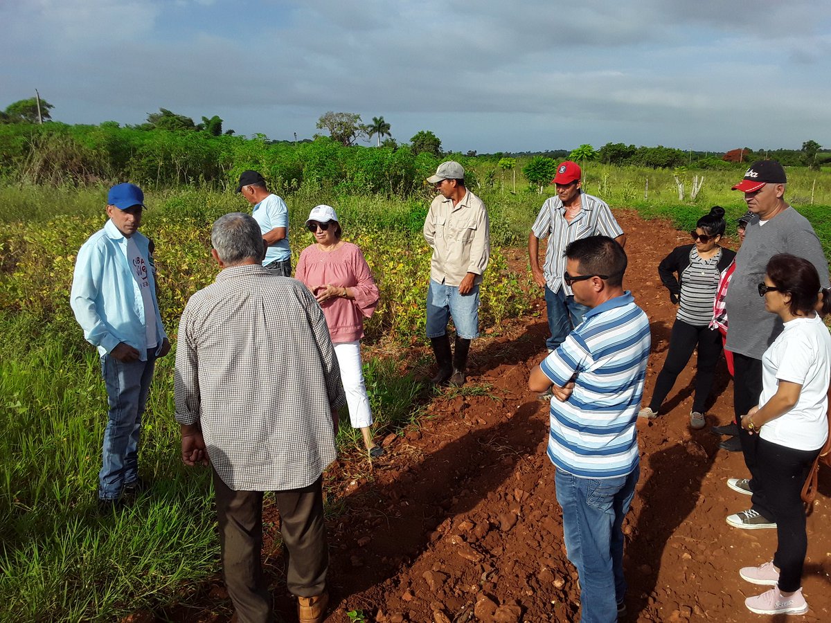 AsambleaQuemado's tweet photo. #Cuba 🇨🇺🇨🇺🇨🇺 Inicia en #QuemadoDeGüines recorrido de los diputados de la Asamblea Nacional del Poder Popular, dirigido a la producción de alimentos como prioridad del país.
#CubaViveYTrabaja. https://t.co/wQXbON3dOY