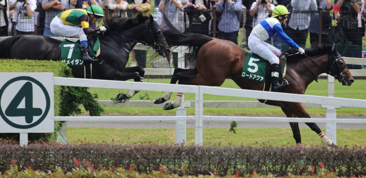 梅柱弘香 on Twitter 