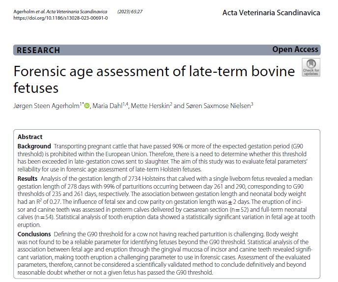 How can we know whether a pregnant cow sent to slaughter is below or above the legal threshold for fitness for transport of 90% gestation length? If interested, check this new paper by Agerholm et al.: link.springer.com/article/10.118…. Thx for a nice collaboration! @Husdyrforskning