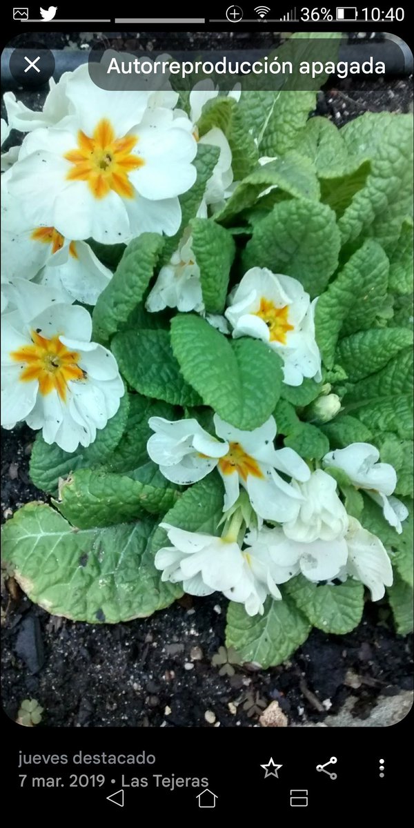 La vida no es sencilla, porque buscar más dificultades?
Tal vez el aburrimiento de los que se lo pueden permitir ??