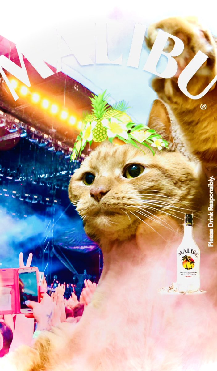 Hegedusinthe216's tweet photo. Despite myself no longer drinking alcohol, I gave Gustav my blessing for this Malibu Rum campaign via Snapchat!! He’s 14 but in cat that’s 72, he can have some rum…
cc: @BarneyDemar @itsjustb77 @MEGADOUCHE @BurdsIVue
#MalibuRum #Gustav #CatsOfTwitter #Jobu #UnceUnceUnce 🐈🍹🥳 https://t.co/LS7bg55Hgf