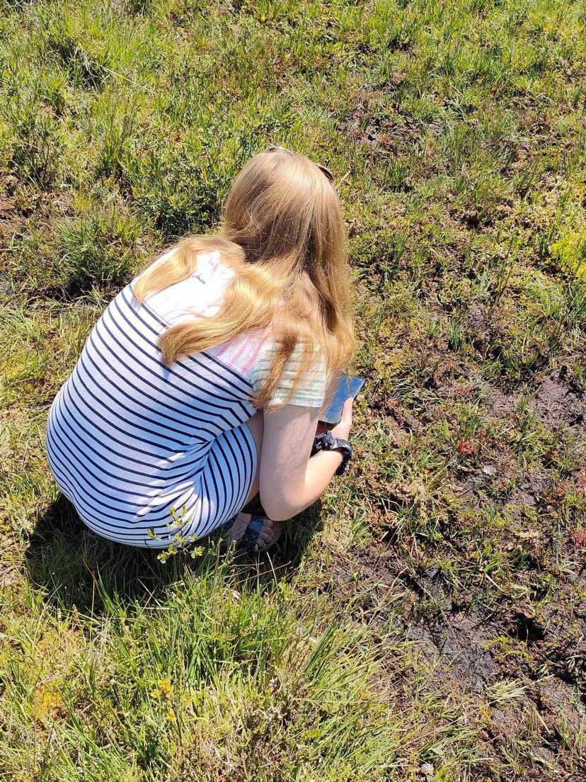 hannah_con_bio's tweet photo. If you’re a botanist, I’m sure you know this pose well and can sympathise with me on the knee pain 🌱🌸 #justbotanistthings #plantsrcool #botany #sundews #newforest https://t.co/kFNLkVjAdq