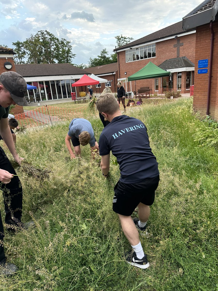 Havering VPC tweet media