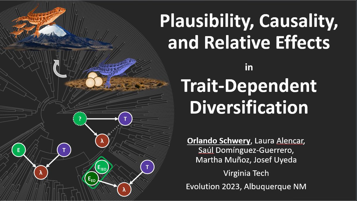 Good Morning #Evol2023 Interested how to improve inferences of trait dependent #diversification (BiSSE et al.)? Come see my talk on 'Causality in SSE Models' in the Symposium 'Paving the way to the Phenome' in the Kiva Auditorium from 10:15-10:44 today! #evolution2023