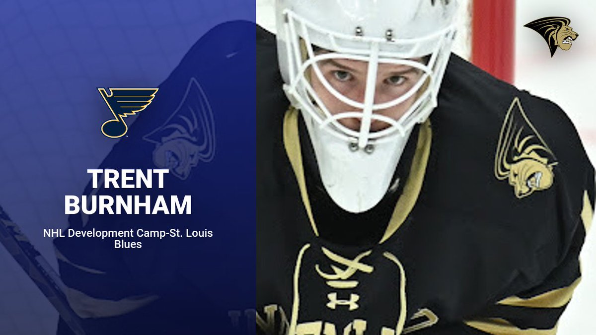 Lindenwood Hockey tweet media