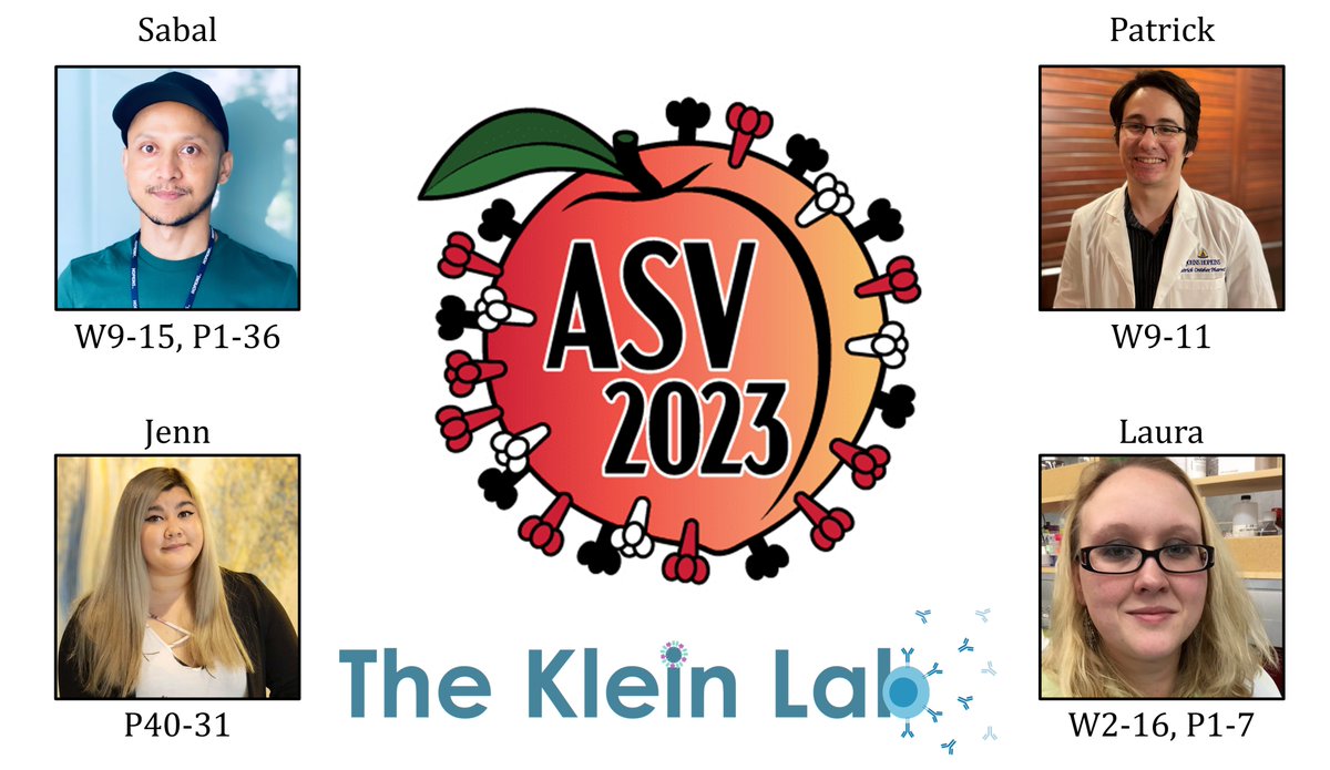 Sabra Klein Lab (@kleinlab) on Twitter photo Are you at #ASV2023 ? So are we! Come check our oral presentations and posters! Information below. <a href="/AmerSocVirol/">American Society for Virology</a> Are you at #ASV2023 ? So are we! Come check our oral presentations and posters! Information below. <a href="/AmerSocVirol/">American Society for Virology</a>