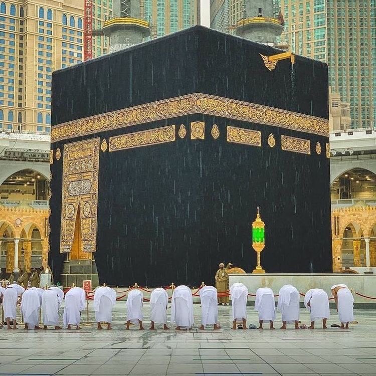 BacharTallaf's tweet photo. Allah yirhamna bil djana https://t.co/nPLo0GVfew