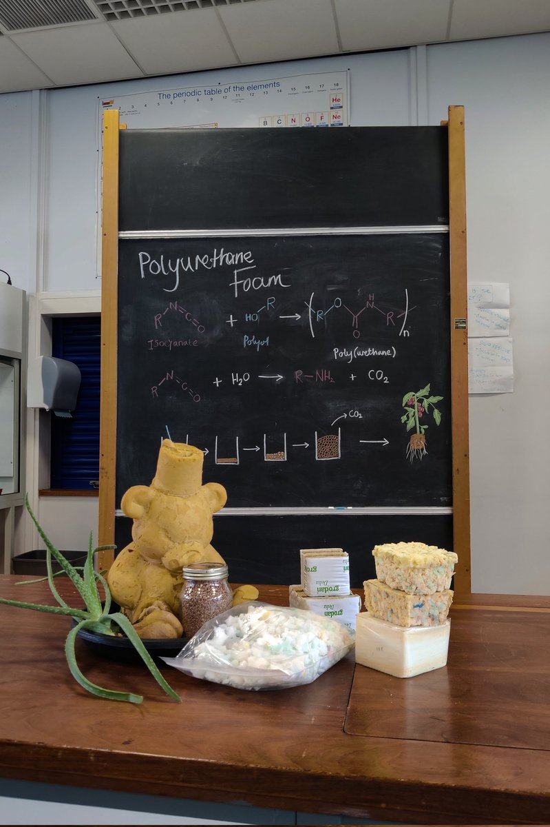 syvmourik's tweet photo. I've spent the day talking to some pre-application chemistry students at @sheffielduni  open day. Telling them about some of the research going on in sustainability and opportunities they'll have at Sheffield as undergraduates.  

Hopefully Ted and his aloe vera impressed them. https://t.co/oFeQSyqfms
