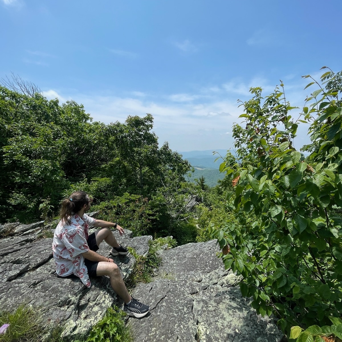 A highlight from last sunday's hike! Not pictured: the brainstorm i was having for rebooting+expanding a woodsy horror IF I wrote a few years back 👀