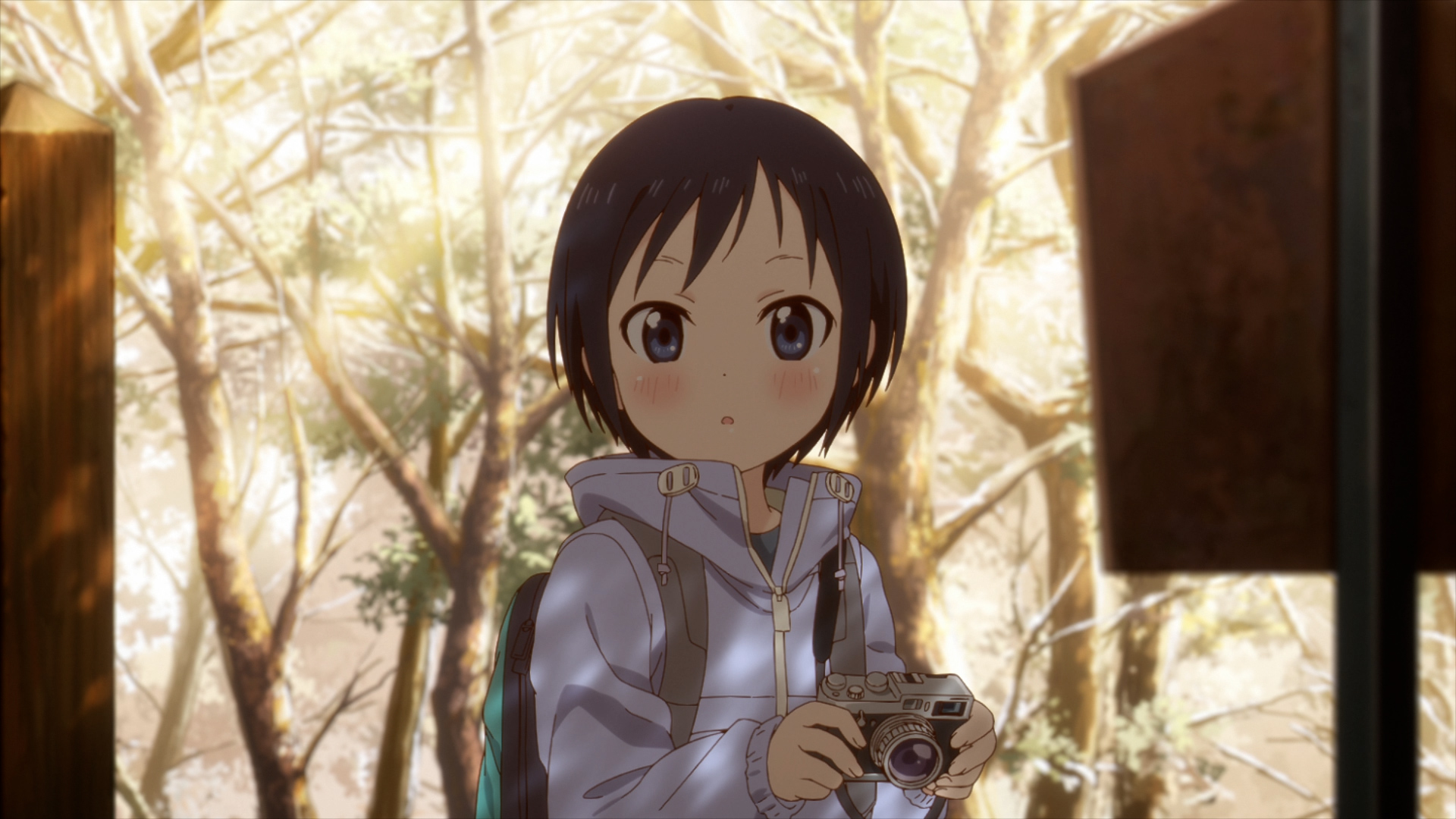 黒崎ほのか ぬいぐるみ ヤマノススメ ヤマノススメ Next Summit ぬいぐるみ 黒崎ほのか (キャラクター