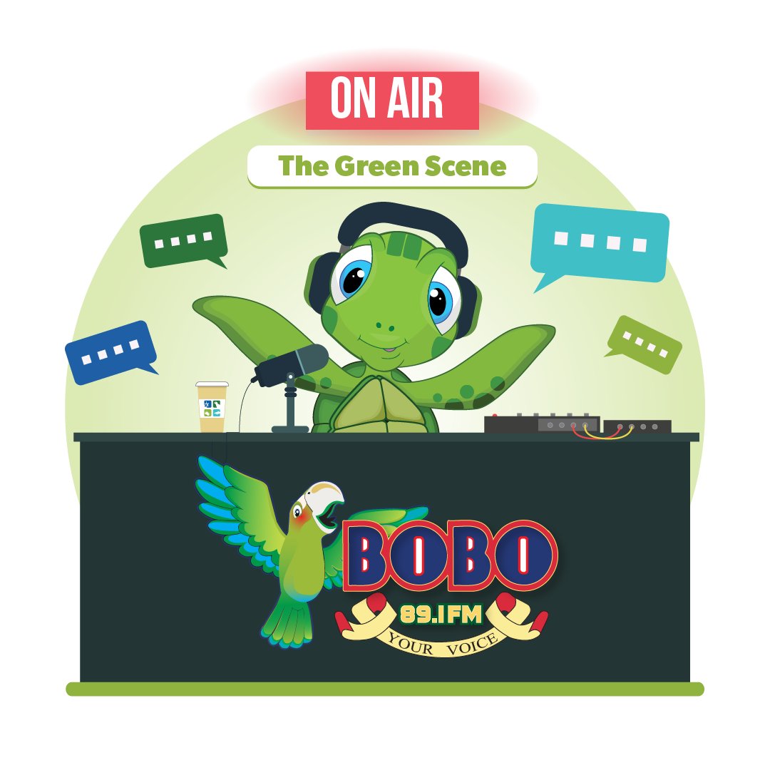 Cayman Turtle Centre tweet media