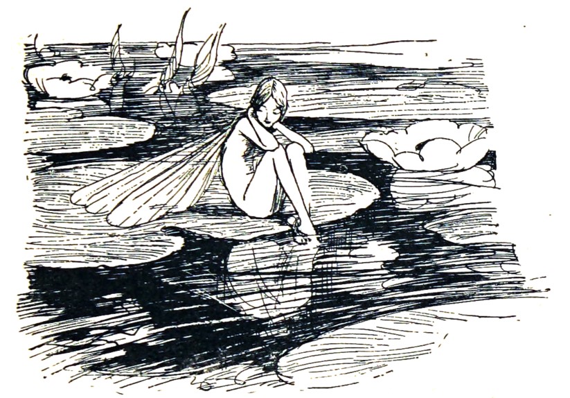 "Where the water-lilies go
To and fro,
Rocking in the ripples of the water,
Lazy on a leaf lies the Lake King’s daughter..."

-A. A. Milne; Art by E. H. Shepard

#BookWormSat #InternationalFairyDay