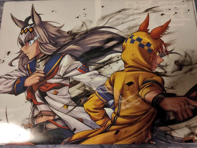ディクタさんクリアファイルを貰う為に超久々にメロブまで行ってシングレ新刊を買いに行ったっス
バンブー特典にするか2冊買うか散々迷ったけど日和って1冊だけにしたっス
次巻はバンブー表紙でバンブー特典祭りだろうから勘弁して欲しいっス～ 
