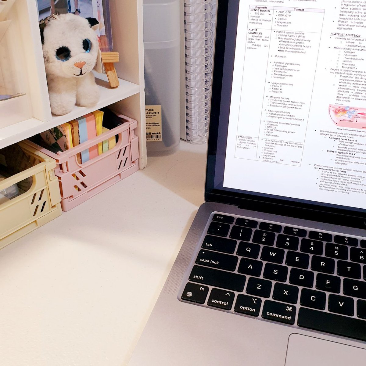 studywkc's tweet image. ꒰ hello, im kc ♡︎ i'm new to #studytwt 🌷꒱    

𓂅 about me:  
🌸 she/they ; isfj-t  
🌸 '00 liner, virgo
🌸 4th year | medtech
🌸 loves: movies/series, journaling    

looking for fwends &amp;gt;&amp;lt;   
rts are highly appreciated ♡︎
[ #studytwtph]  

own photos used :&amp;gt;