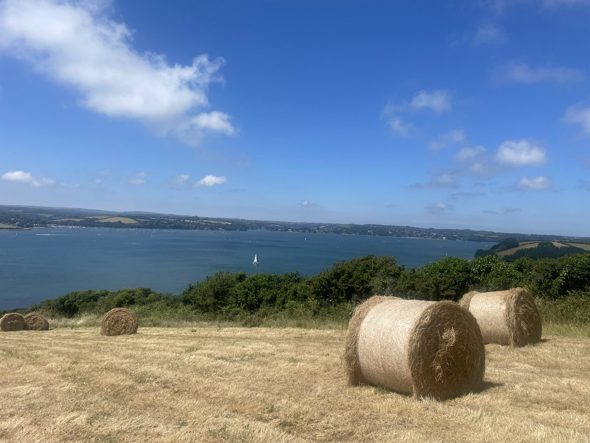 Sitting in a field overlooking the bay Falmouth waiting for air display ..#ArmedForcesDay #redarrows #chinook #typhoon #merlinmk2 #blackcats