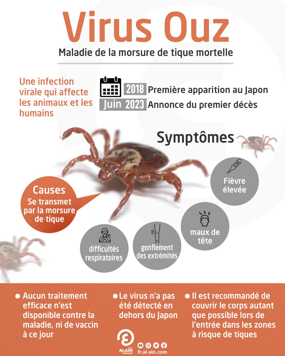 AlainFrNews's tweet photo. #Virus #Ouz : Une infection transmise par les tiques
#Tesyeuxsurlemonde
Lisez ici : https://t.co/P0X8dSLAC4 https://t.co/EVyHCwaXNa