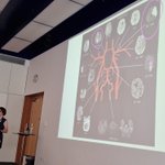 Photo by CambMedicalSeminars (@CambMedSem)