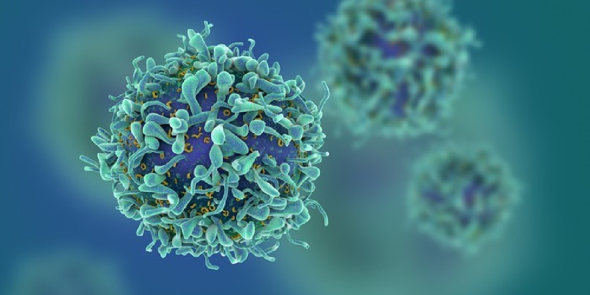 SciImmunology's tweet photo. Researchers from @KU_Leuven @CBD_VIB demonstrated that plasticity is a property restricted to a limited subset of regulatory #Tcells. “Purging” this unstable subset could serve as an effective strategy to prevent this identity switch. 

📄: https://t.co/J0vBcXneMg #WeekendReads https://t.co/wYrv2GPJAc