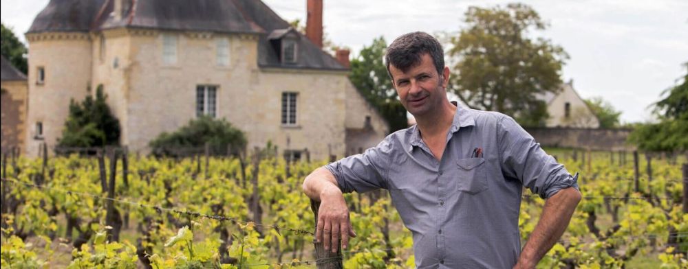 Summer in the Garden of Wine - mailchi.mp/weygandtwines.…