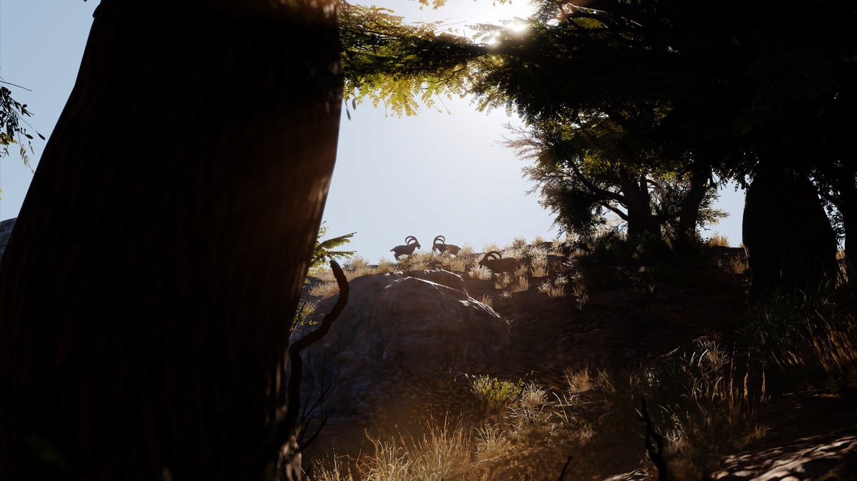 Wollllis's tweet photo. ๐Lake Mareotis,
๐ธAssassins Creed Origins,
#AssassinsCreedOrigins #VirtualPhotography #VPRT #WorldofVP #ACVPLandmarks https://t.co/Jh16d1CsjK