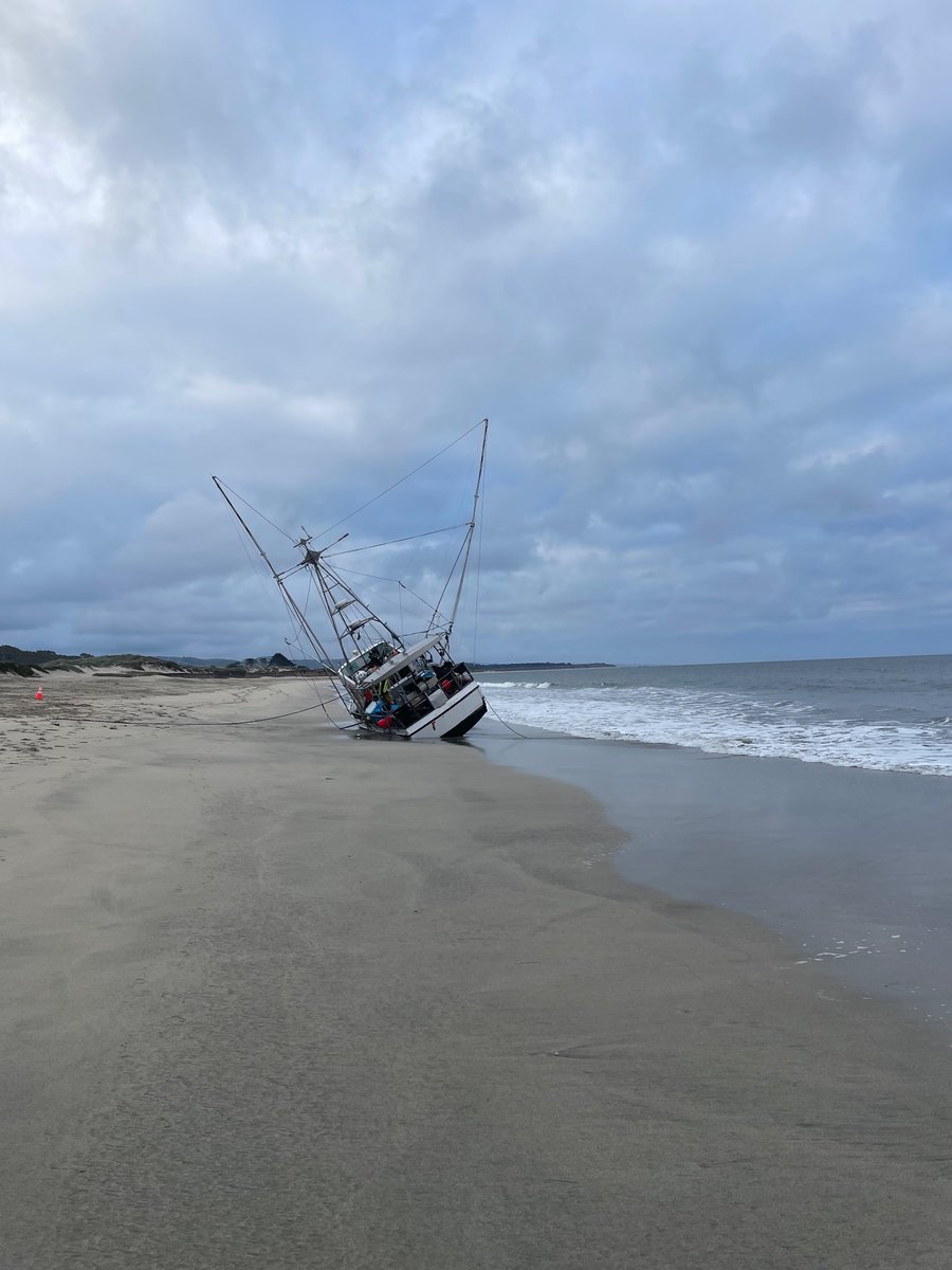 Andries Verschelden tweet media