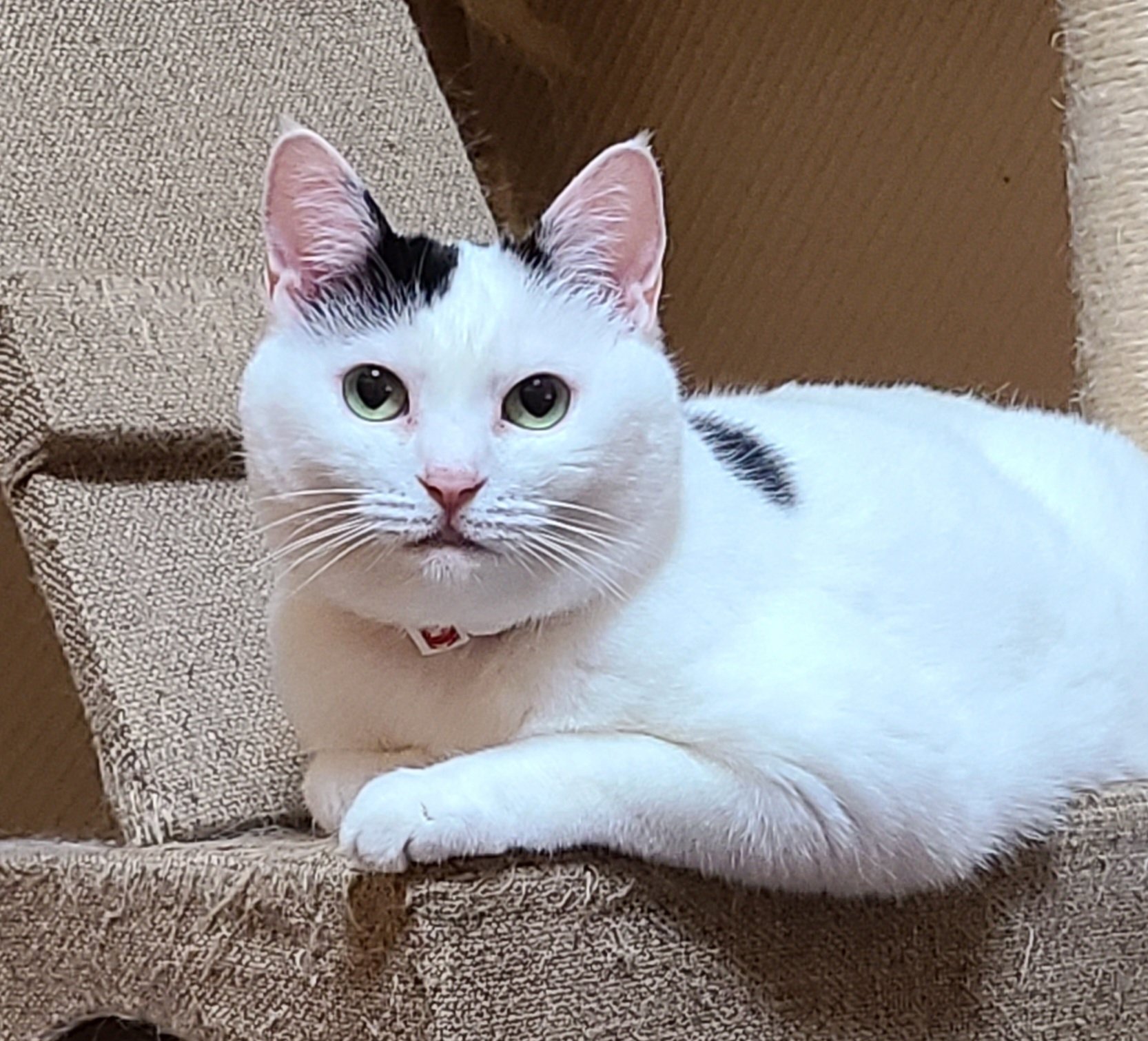 まさ على X: 