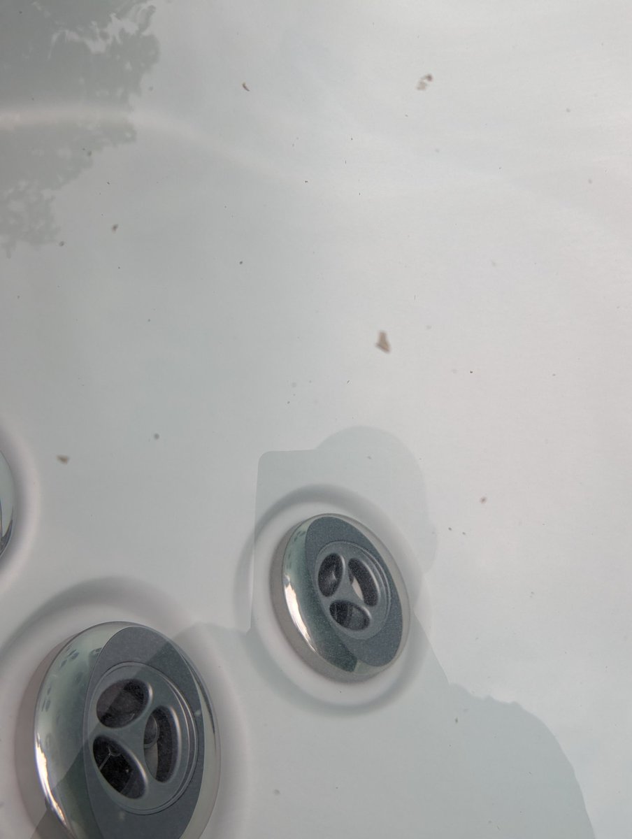 Nebraskangooner on Twitter "Getting these little black flakes in my hot tub lately and can't