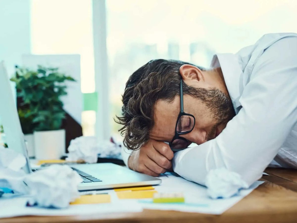 barstoolsports's tweet photo. New Research Shows That People Who Nap At Work Have Bigger Brains And Are More Productive https://t.co/4Z46JZwg1W https://t.co/woRHLxJnub