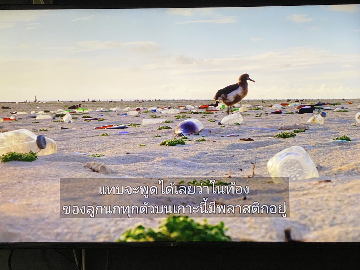 kongchanut's tweet photo. ชวนดูสารคดี ที่มีผลต่อการเปลี่ยนความคิดและชีวิตเรามาก #OurPlanet ใน #Netflix ทำให้เราแยกขยะจริงจังและพยายาม Zero Waste มากที่สุด
ทุก EP.ของสารคดีเรื่องนี้ นอกจากโปรดักชั่นโคตรสุดแล้ว
ยังสะท้อนการเปลี่ยนแปลงของโลกด้วยฝีมือมนุษย์ ที่กระทบต่อสัตว์และธรรมชาติทุกที่
Season 2 เพิ่งเข้า https://t.co/M1XmEdPNt8