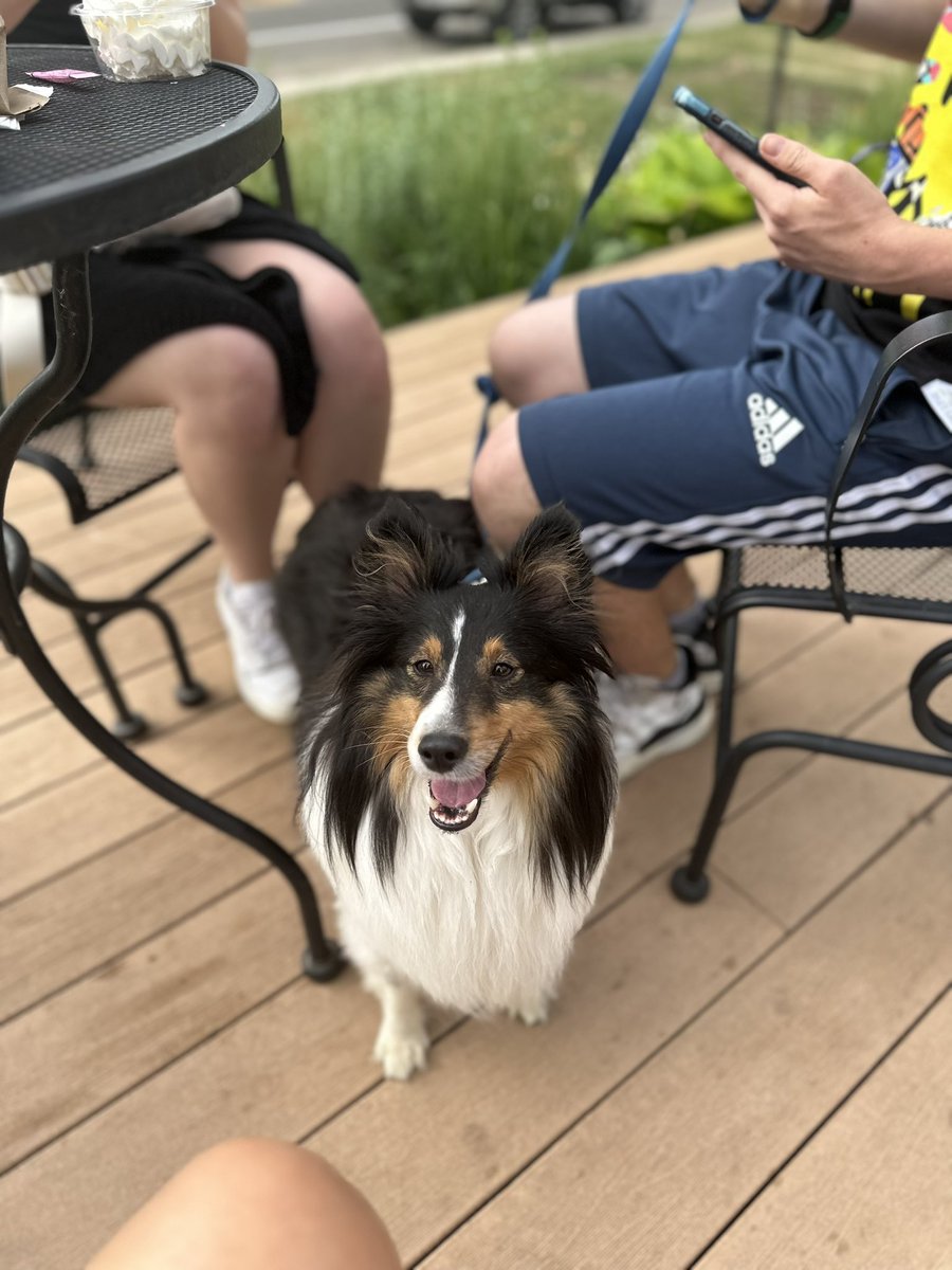 purplemamabear's tweet image. So fortunate to be w the most important people in my 🌎 this weekend for my birthday #CrazyAuntie #MyWorld #MyKids #Home #DetroitLakes #Lakers