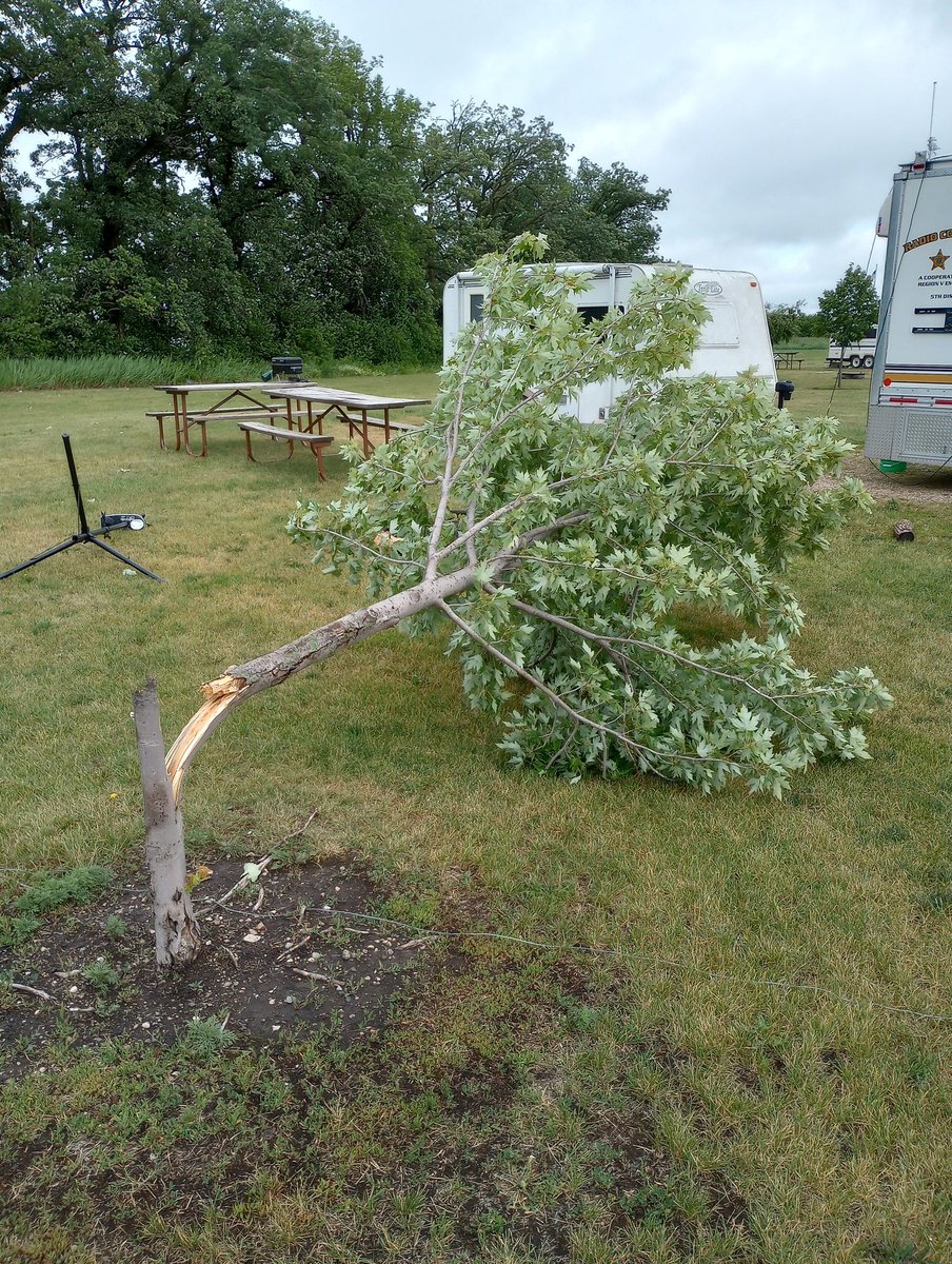 K0APR's tweet photo. @NWSSiouxFalls At Twin Lakes County Park just southwest of the Florence, MN RWIS station that measured the 65 mph gust. The Davis weather station maxed at 27 mph before tipping over. The tree is 3.5" diameter at the break. https://t.co/1ycbDP2x9K