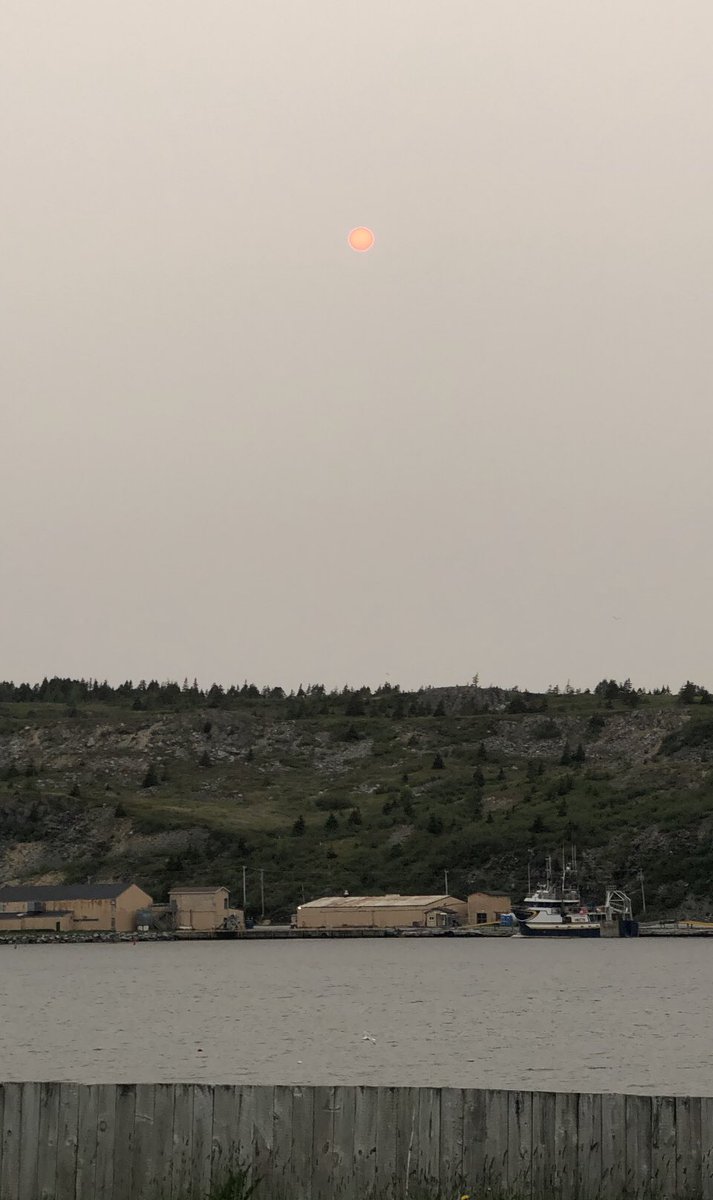 CancerWithGrace's tweet photo. We are about 2000 kilometres away from the forest fires in Quebec (including an ocean crossing) however I’m guessing those fires allowed me to get a pic of the sun!! Taken with my iPhone - no touch ups! #nlwx #cupids #thesun https://t.co/luaj9tnXjB