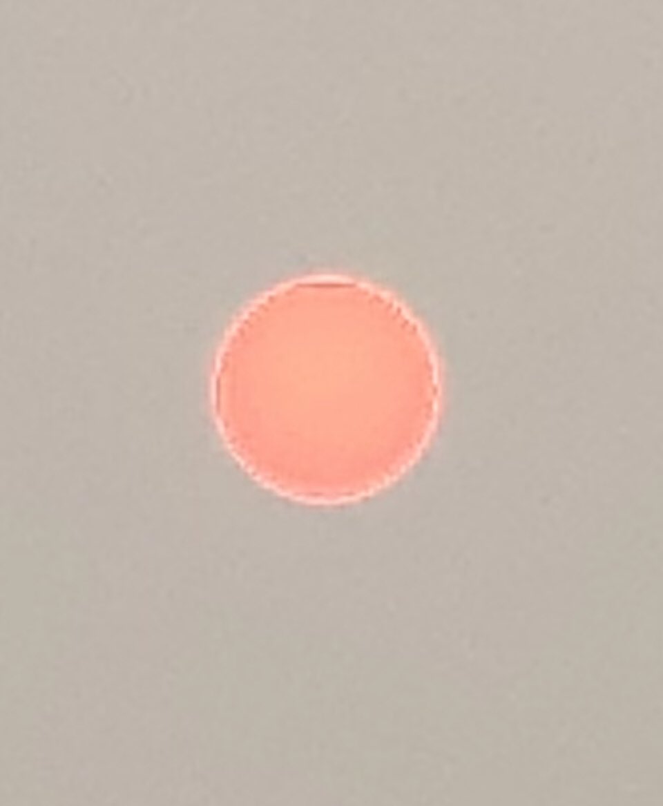 CancerWithGrace's tweet photo. We are about 2000 kilometres away from the forest fires in Quebec (including an ocean crossing) however I’m guessing those fires allowed me to get a pic of the sun!! Taken with my iPhone - no touch ups! #nlwx #cupids #thesun https://t.co/luaj9tnXjB