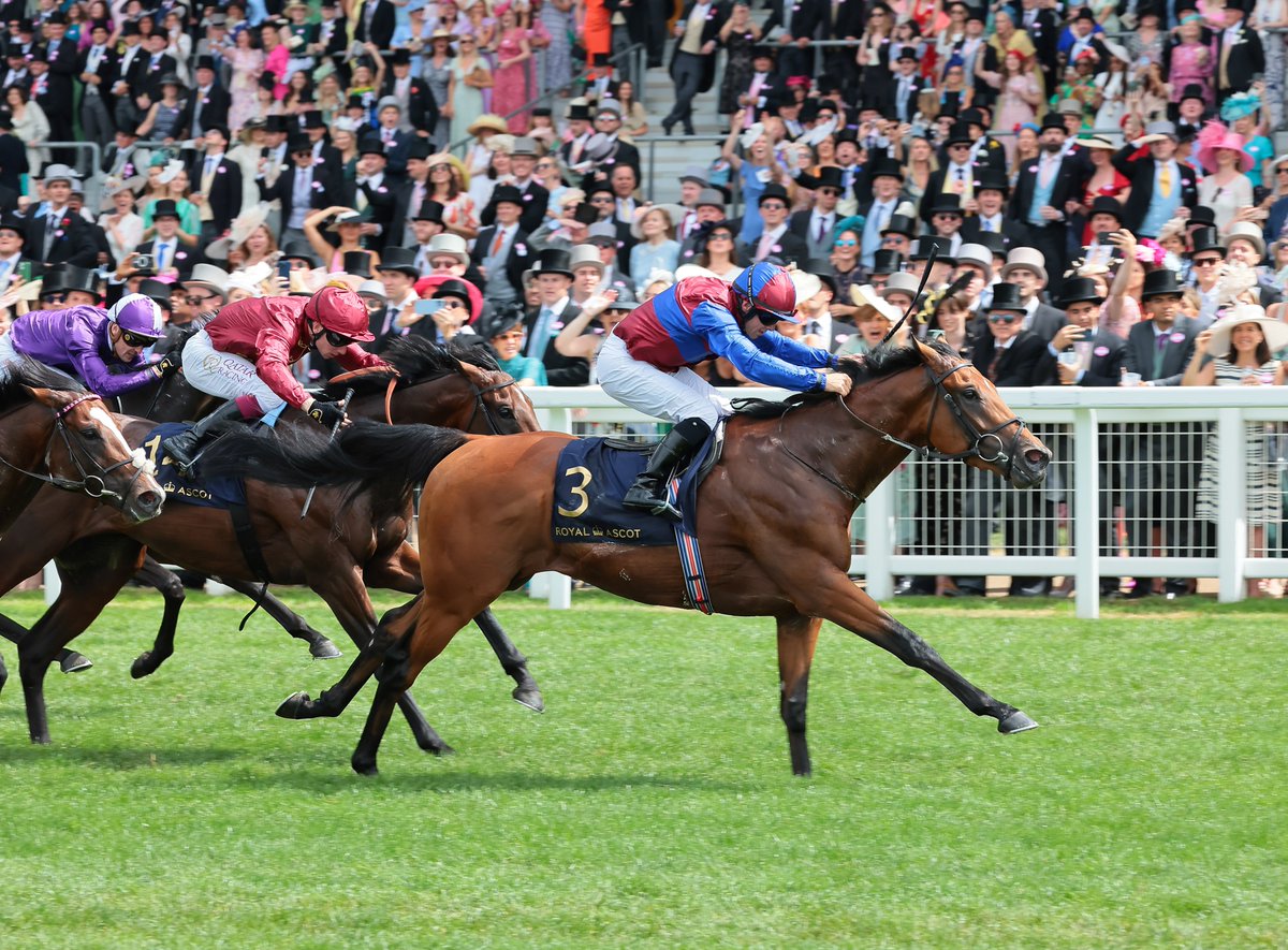 Racing TV on Twitter "👑 Age Of Kings a fourth winner in the Jersey
