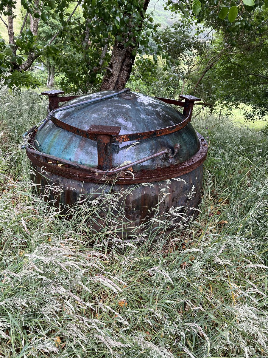 I swear this is not sponcon but I went to visit a local cheese maker in the Irish countryside and it was really lovely ; last shot is a disused copper cheese making vat that we have recorded because it makes a cool sound when struck with force