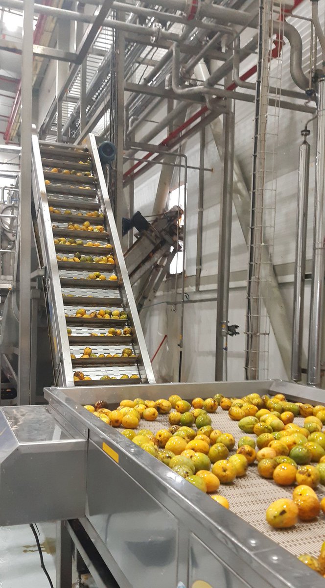 jormon26's tweet photo. #Nutrium con apoyo de empresa @postobonoficial inauguró ayer en #Malambo una plata de pulpa de frutas para la exportación con una inversión de $55 mil millones de la #OrganizaciónArdilaLülle https://t.co/MNo3CAfGYP