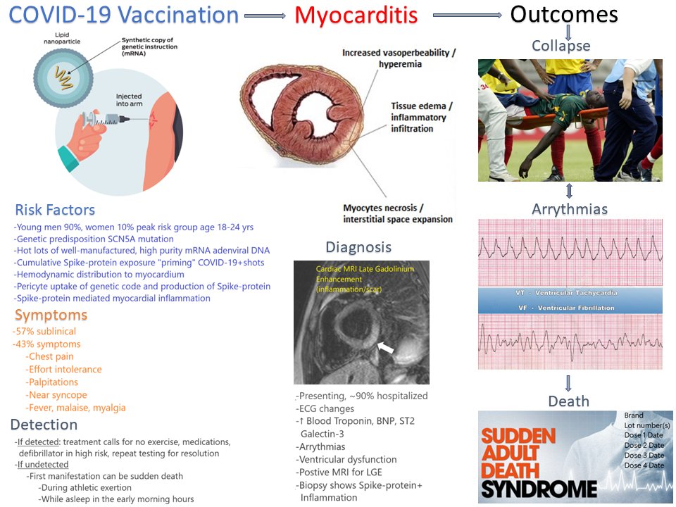 Cardiology guidance for years--NO exercise in patients with myocarditis.  Can trigger sudden cardiac death.  Many athletes never feel C19 vax myocarditis.  Explains why so many athletes are dying.  Feel free to use this graphic.  #courageousdiscourse @ACCinTouch @American_Heart