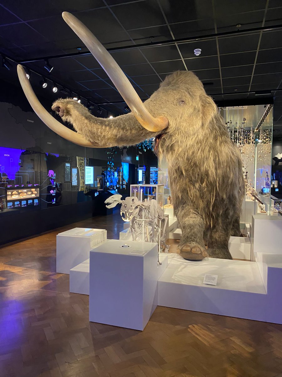 Syrena House tweet media