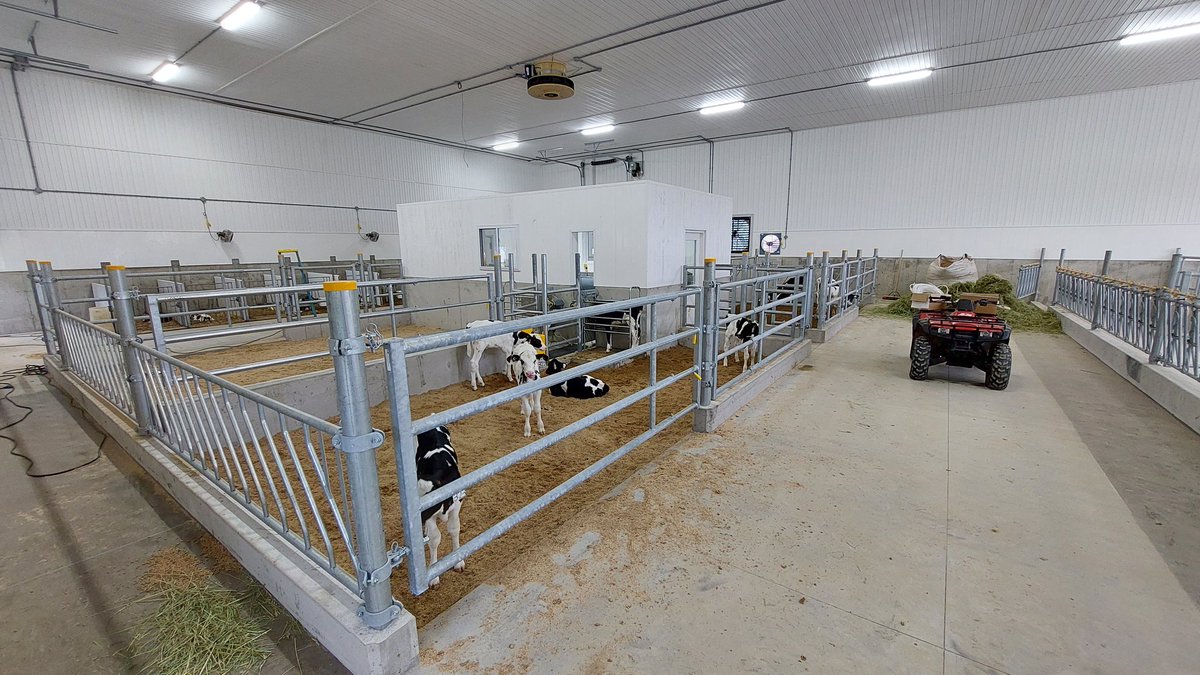 EthanBrownCow's tweet photo. The Wright's calf barn has finished up and we are moving in!
Features:
-Cosnet gating,fencing and feed front
-Skov/Secco ventilation (equal pressure in winter and controlled hybrid ventilation during the rest)

Call you @NorwellDairy
rep for details.
#ontag #dairydonewell https://t.co/GPmD4Uo1rX