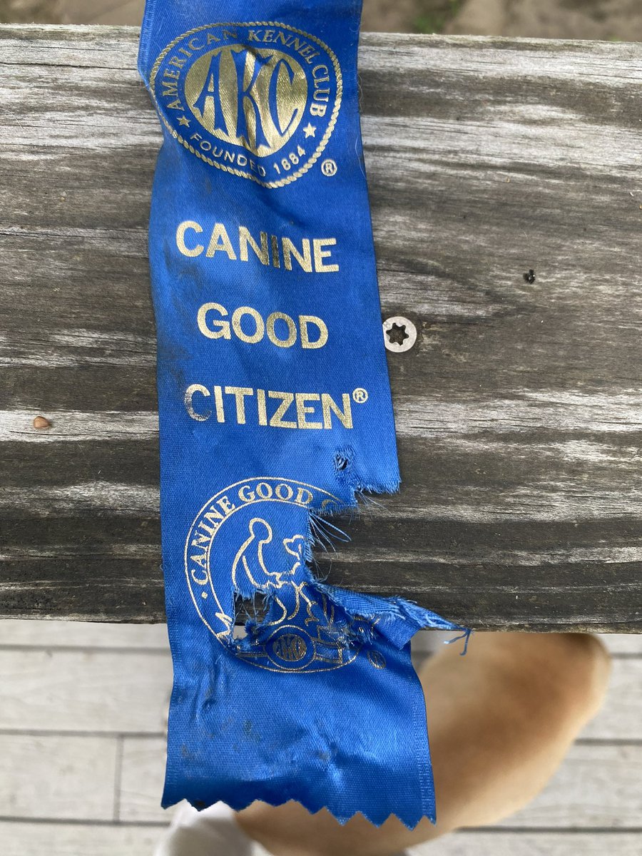 John Cole on Twitter "I’m not sure about this puppy. There are signs