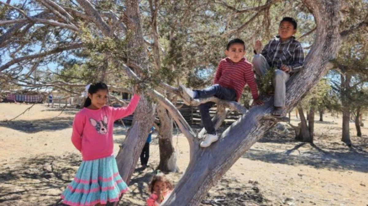 Las olas de calor, agravadas por el #CambioClimático, afectan la garantía del derecho a la educación de la niñez y adolescencia en 🇲🇽
UNICEF reconoce que en 🇲🇽, entidades federativas han tomado acciones para cuidar y proteger a infancia y adolescencia.
➡️bit.ly/43YKsBA