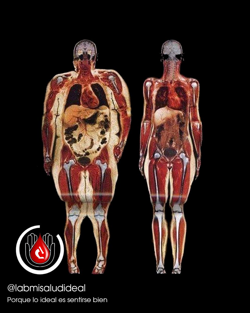 Laboratorio Clínico Mi Salud Ideal tweet media