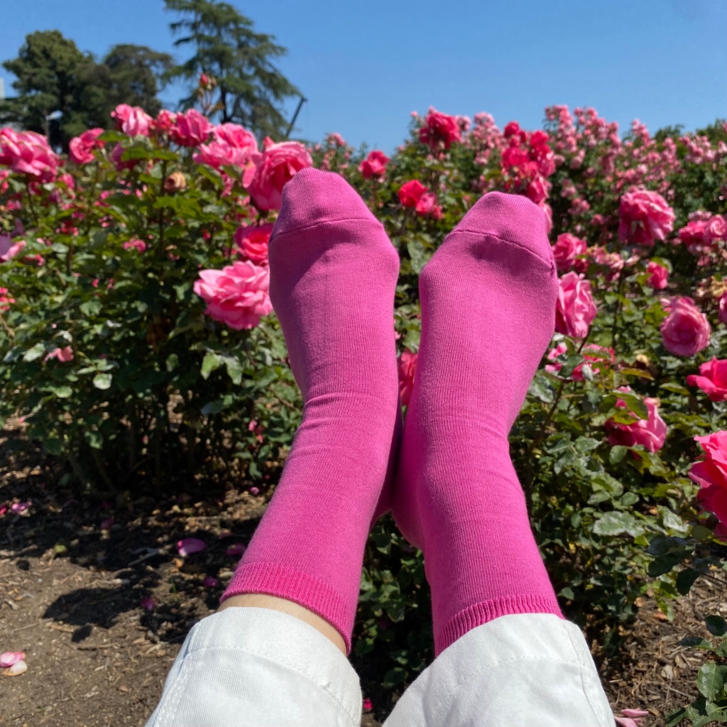 tabio_usa's tweet photo. A #Tabio sock by any other name would smell as sweet... 🌹

Roses are the flower of June. Comment your favorite flower emoji to make this comment section a garden💐

#TabioUSA #SockEnthusiasts #StepBeyond #UltimateComfort #HighestQuality #TabioStyle #SocksStyle #FashionSocks https://t.co/Sx1F1qeJTK