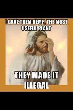 It clear that we are the ones who mess things up!! #Cannabis #LegalizeIt #CannabisCommunity #Mmemberville #Hemp